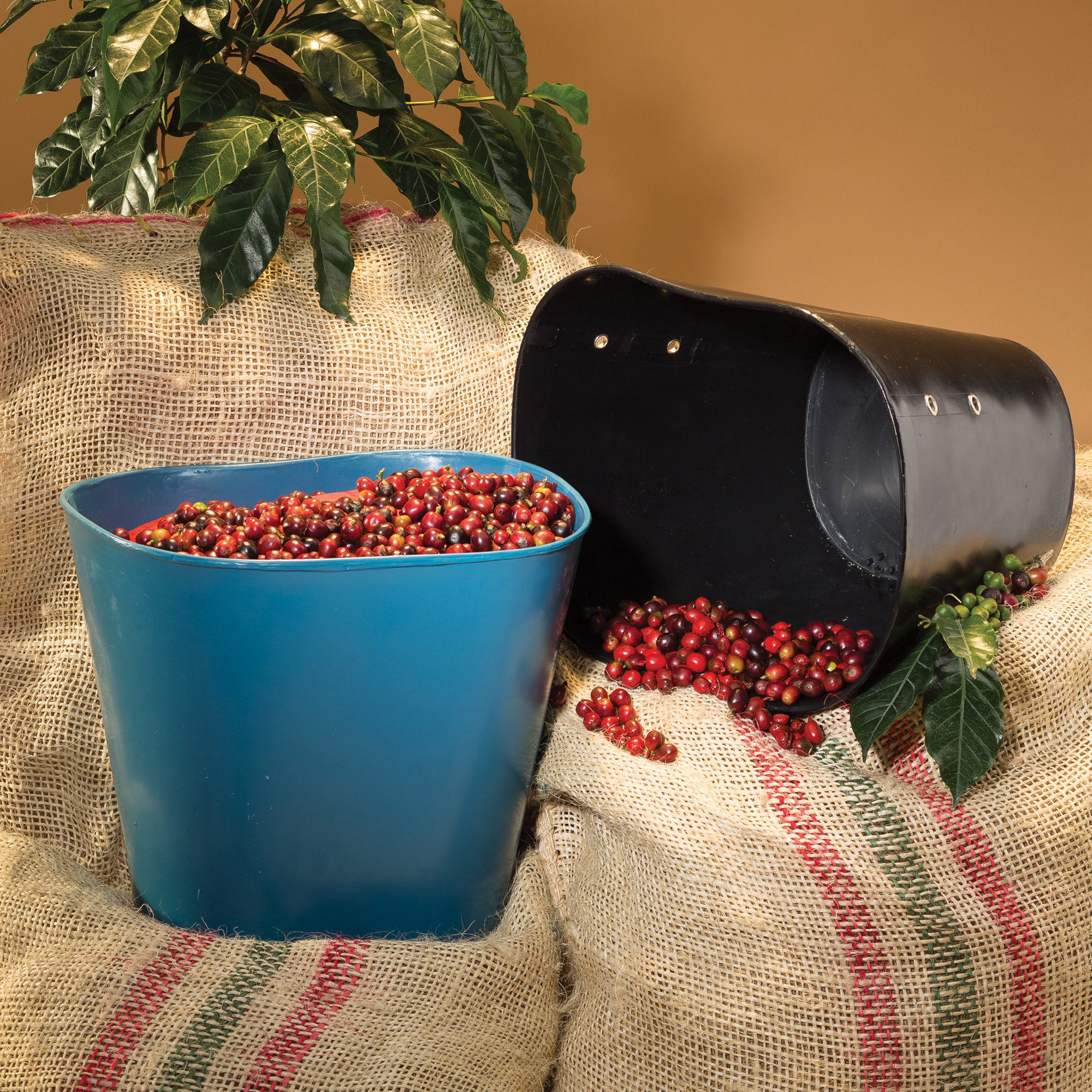 1071-recolector-de-cosecha-surtido