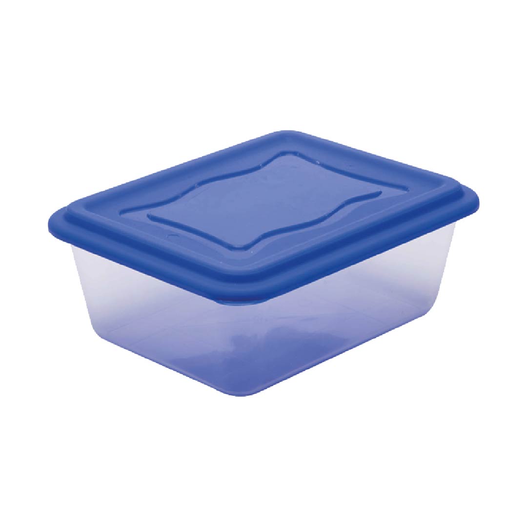 1013-recipiente-familiar-8l-n8