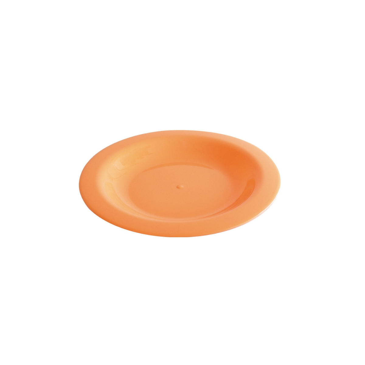 1031-plato-llano-colores-surtidos