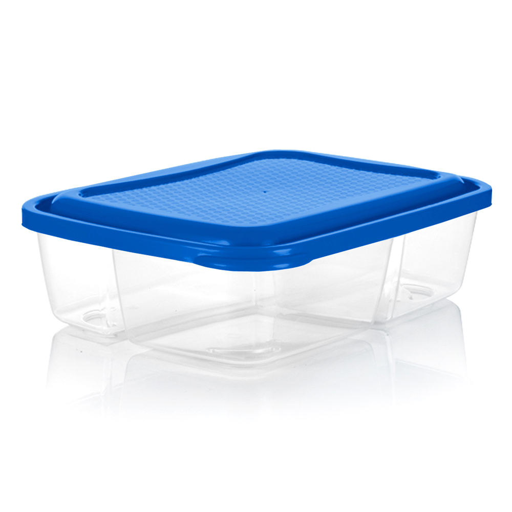 1071-recipiente-basico-rectangular-dividido14lazul-2018emp-20