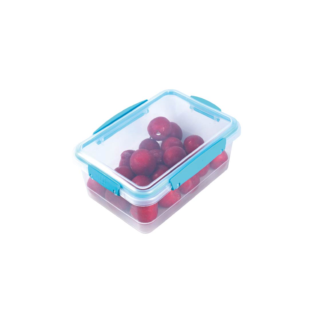 1013-recipiente-plus-rectangular-bajo-17-litros-surtido